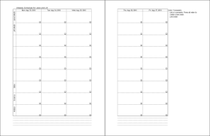 excel weekly planner 2 pages