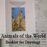 Animals of the world booklet