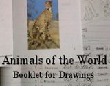 Animals of the World Booklet