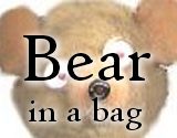 Bear-in-a-Bag Christmas Ornament