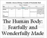 A New Single Student Lesson Plan for The Human Body: Fearfully and Wonderfully Made