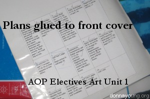 aop electives art unit one lesson plans