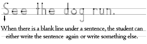 Sentences and Blank Lines