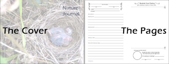 donnayoung's folded nature journal